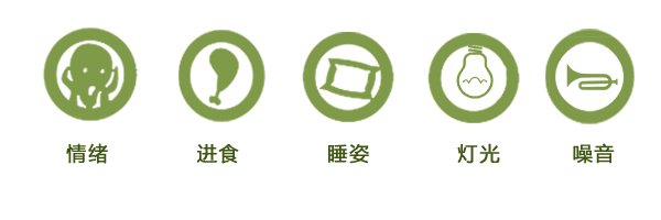 广州成为“世界最难入睡”城市