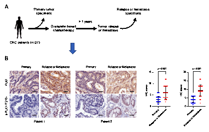 image001.gif